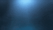 GIF by Cinecom.net