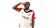 Looking Around Eintracht Frankfurt Sticker by Bundesliga