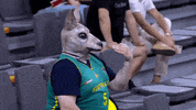 Fiba World Cup 2019 GIF by FIBA