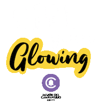 Girls Xv Sticker by campanarioeventos