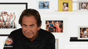 Isola13 Yes GIF by Isola dei Famosi