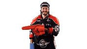 Celebration Goal Sticker by Les Ducs d'Angers