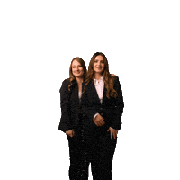 Immobilienmakler Makler Sticker by Schichtel & Partner