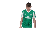 Bundesliga Nick Sticker by SV Werder Bremen