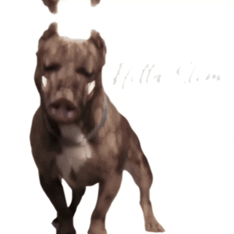 GIF by HittaSlim