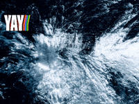 Gastronomie-Lieferservice Mehr-Als-100000-Eur GIF by FranchiseONE.de