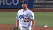 Regular Season Sport GIF by MLB