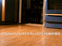 QUIZPLEASE квизплиз GIF