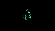 loop transforming GIF by Sam Jack Gilmore