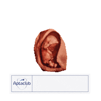 Golove Sticker by AptaclubKR