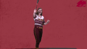 softball GIF