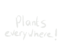 hortusamsterdam plants botanical hortus hortusamsterdam Sticker