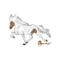 Horse Hast Sticker by Easyflix TV