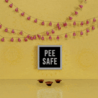 PeeSafe festival diwali indian festival diwali celebration GIF