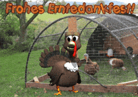 American Football Thanksgiving GIF