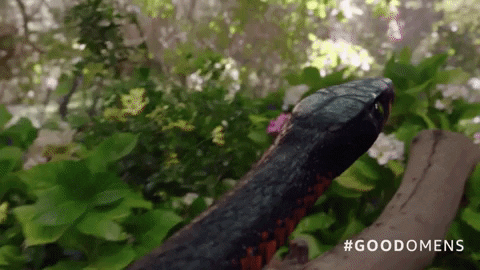 season 1 amazonprimevideo GIF by Good Omens