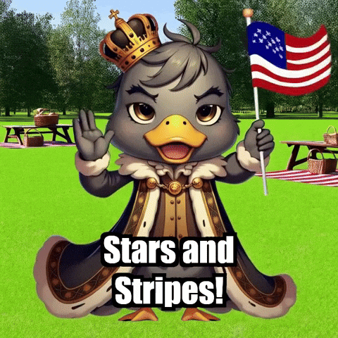 4Th Of July Picnic GIF by sirduckbeth