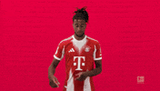 Fc Bayern Football GIF by Bundesliga