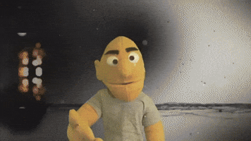 Savvy Turtle - Rock On (Official Music Video)