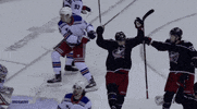 happy ice hockey GIF by NHL