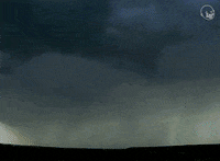 Found Footage Video GIF by Eternal Family