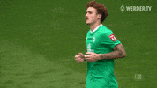 Wohninvest Weserstadion Matchday GIF by SV Werder Bremen