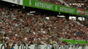 Soccer Bundesliga GIF by VfL Wolfsburg