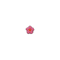 prettynotprettyband pink flower pretty orange Sticker