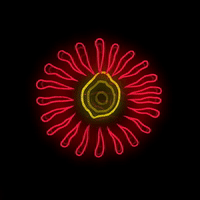 animation glow GIF by gilespates
