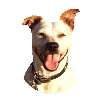 tongue STICKER by imoji