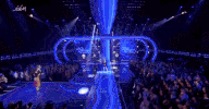 steracteur sterartiest GIF by vrt