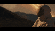 Dondeestas GIF by Ivan Cornejo