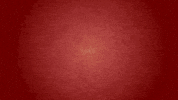 Opos GIF by CKuma