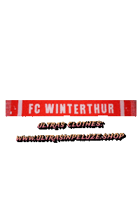Winterthur Sticker by UltrasInPeluze
