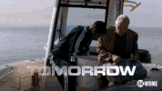 showtime tv showtime drama ray donovan GIF