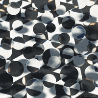 Black And White Art GIF by Pi-Slices