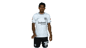 Sge Keep Calm Sticker by Eintracht Frankfurt