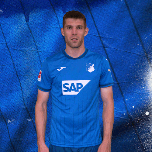 Sport Bundesliga GIF by TSG Hoffenheim