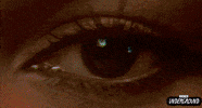 Pam Grier 70S GIF by Turner Classic Movies