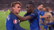 euro 2016 GIF by Sporza