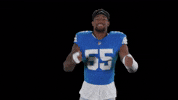 Excited Lets Go GIF by Detroit Lions
