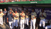kccougars kccougars GIF
