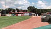 kccougars GIF by Kane County Cougars