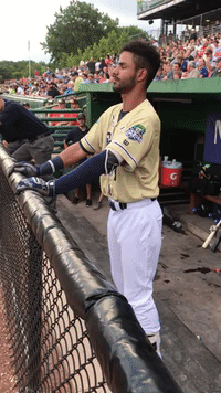 kccougars GIF by Kane County Cougars