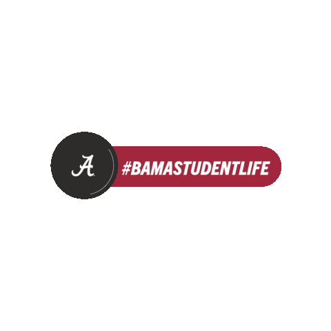 BamaStudentLife giphyupload bamastudentlife Sticker