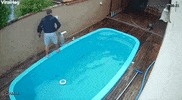 GIF by ViralHog