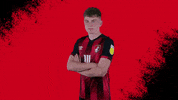 Football No GIF by AFC Bournemouth