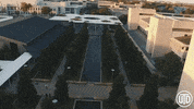 the university of texas at dallas college GIF by UT Dallas