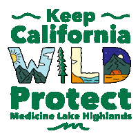 Camping Climate Change Sticker by INTO ACTION