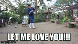 let me love you penguin GIF